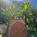 Urlaubsloft August's Schatzkiste *