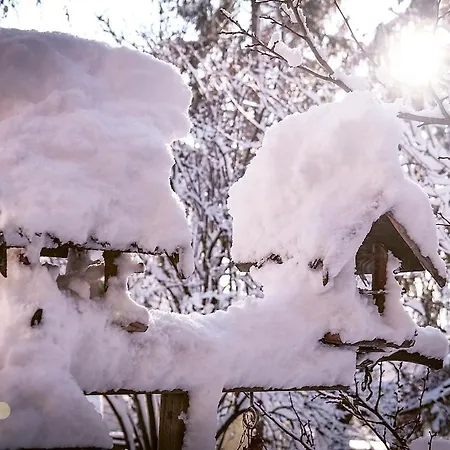 דירה Urlaubsloft August's Schatzkiste מריאנברג