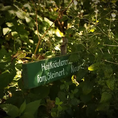 Apartment Urlaubsloft August's Schatzkiste *