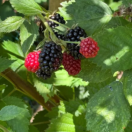 דירה Urlaubsloft August's Schatzkiste *